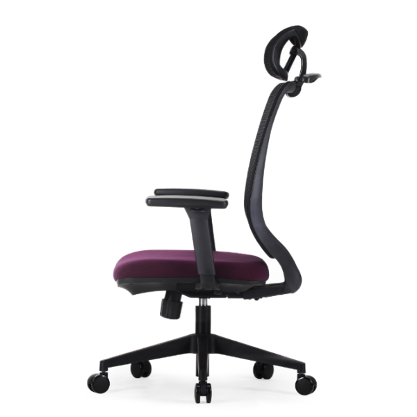 Sneake Office Chairs